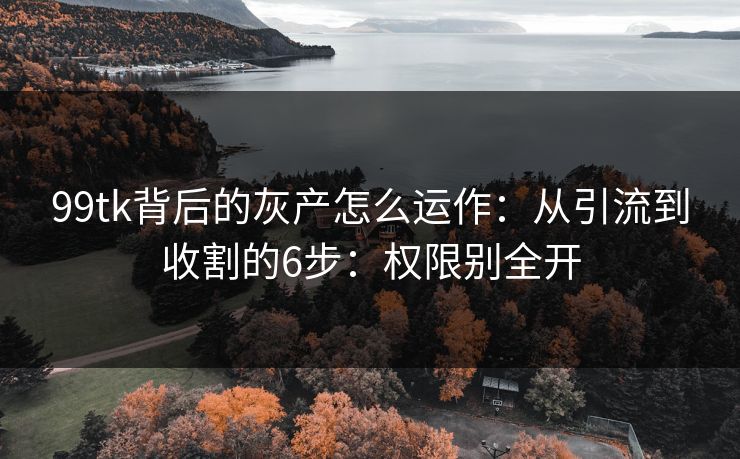 99tk背后的灰产怎么运作:从引流到收割的6步:权限别全开 99tk背后的灰产怎么运作:从引流到收割的6步:权限别全开
