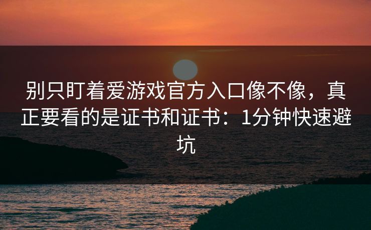 别只盯着爱游戏官方入口像不像，真正要看的是证书和证书：1分钟快速避坑